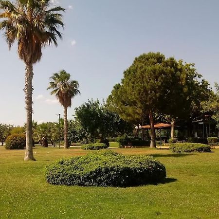 Lovely 1-Bedroom 2 Minutes From Beach Atene Esterno foto