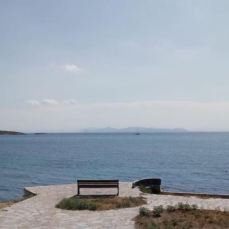 Lovely 1-Bedroom 2 Minutes From Beach Atene Esterno foto